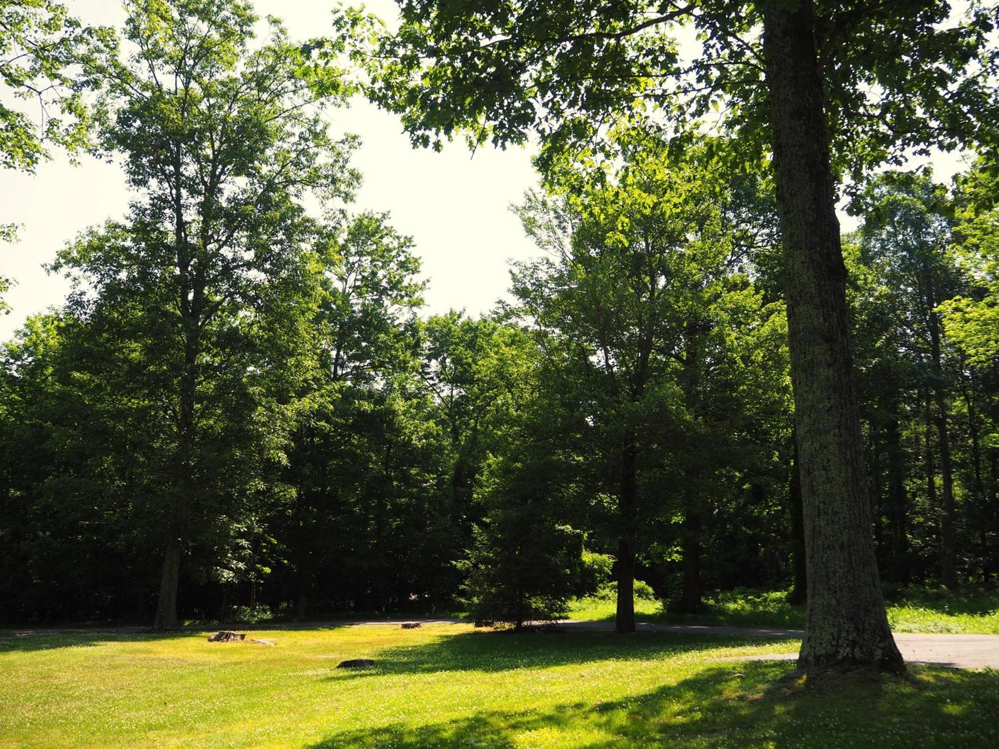 Woodfield Manor - A Sundance Vacations Property Cresco 外观 照片