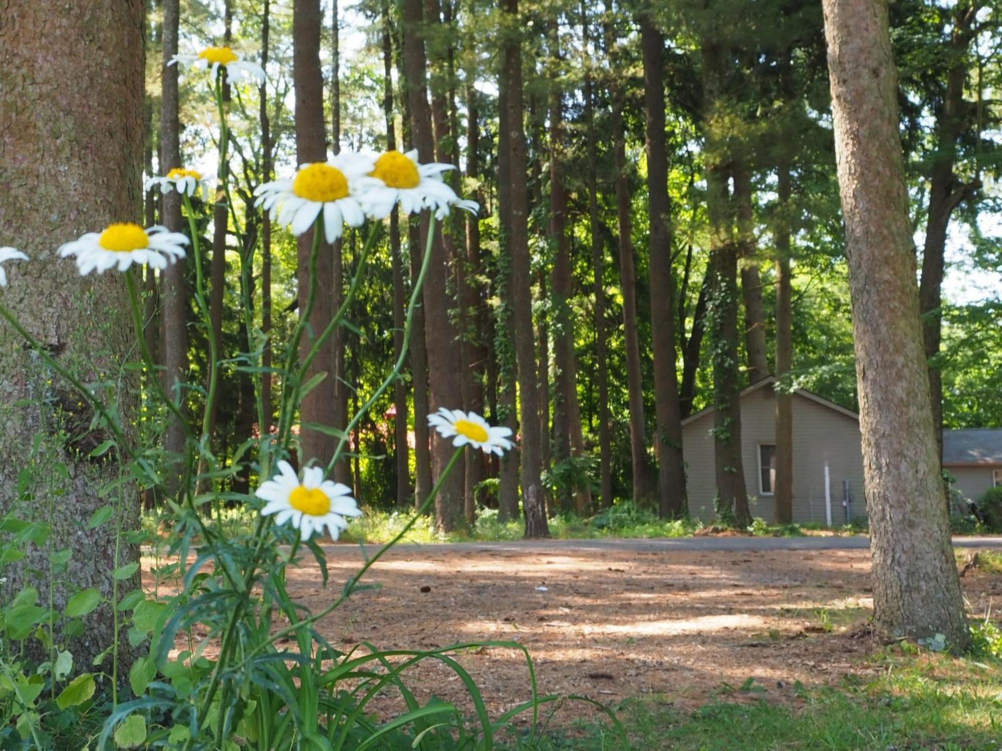 Woodfield Manor - A Sundance Vacations Property Cresco 外观 照片